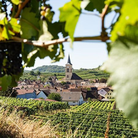 Braviscasa - Ferienresidenz Haus Am Bach Vogtsburg Am Kaiserstuhl ภายนอก รูปภาพ